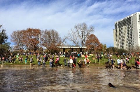 Memorial Heights Dog Park