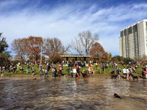 Memorial Heights Dog Park