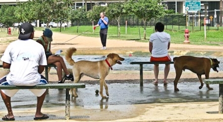 Danny Jackson Bark Park