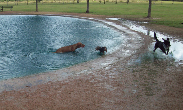 Millie Bush Dog Park on Westheimer Road 