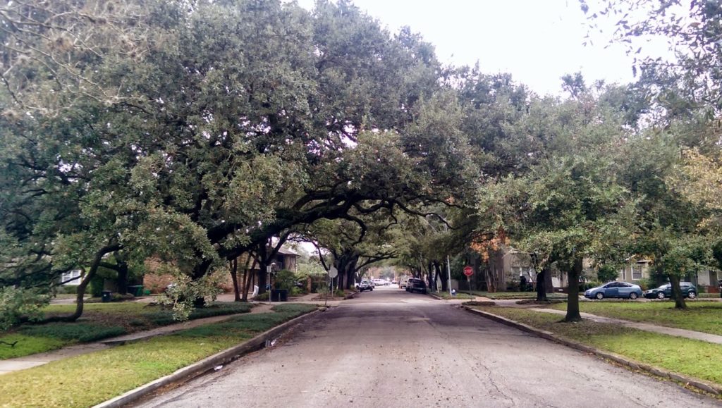 Mulbery Street at Sul Ross