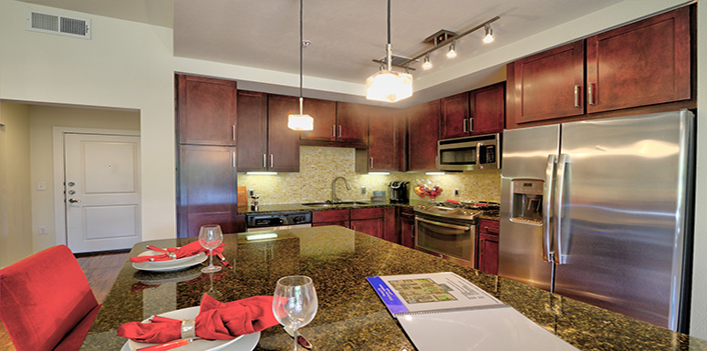 Refined River Oaks Apartment 3