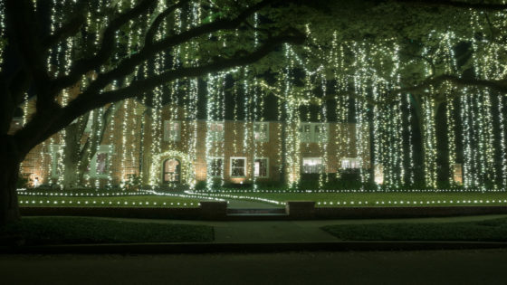 Holiday Lights Houston